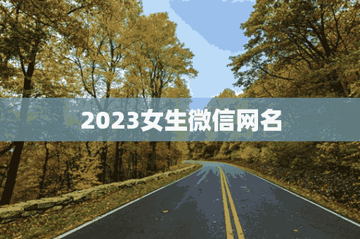 2023女生微信网名(2023女生微信网名好听两个字)